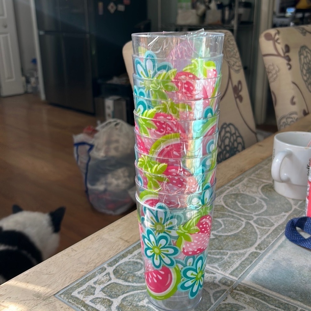 Pier one set (10) lucite flowered drinking glasses